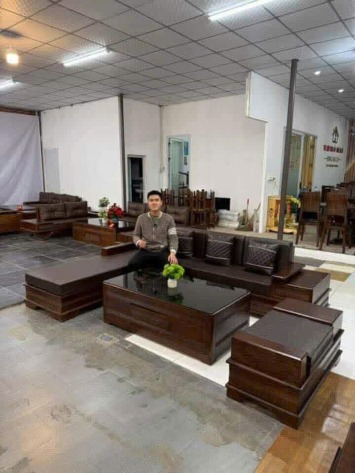 Sofa cao cấp 356